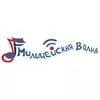 Милицейская волна