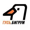 Радио Гусь Бигрум