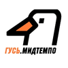 Радио Гусь Мидтемпо