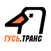 Радио Гусь Транс