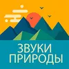 Радио Звуки природы