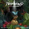 SolarFlow Radio