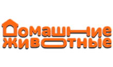 Домашние Животные